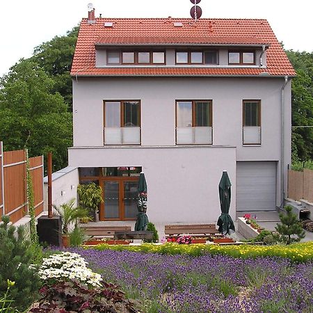 Отель Penzion Ruland Брно Экстерьер фото